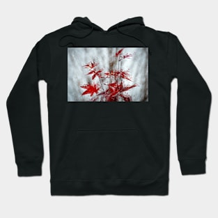 Rain On The Red Maple Leaves Hoodie